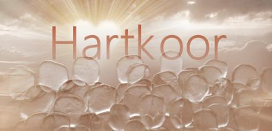 hartkoorlight